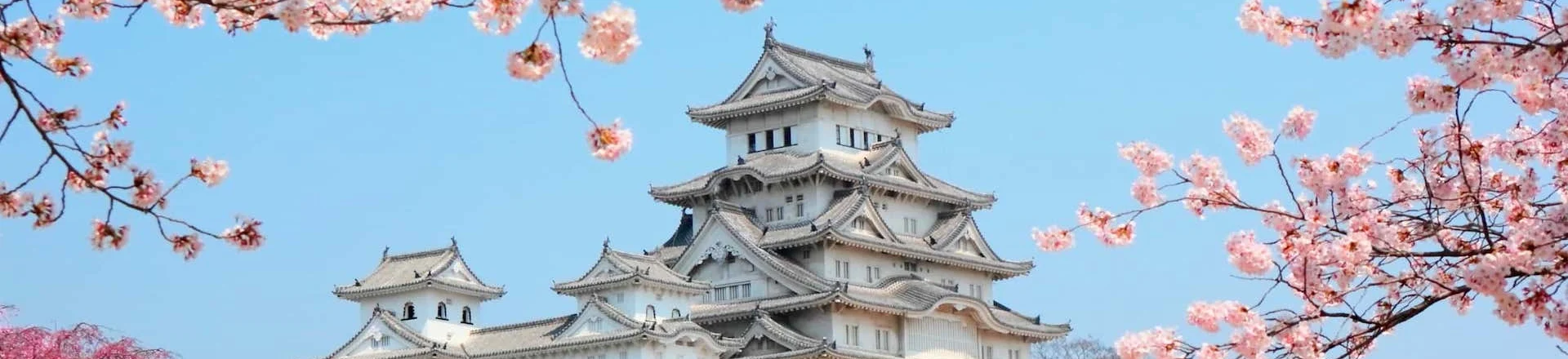 Japanese courses banner