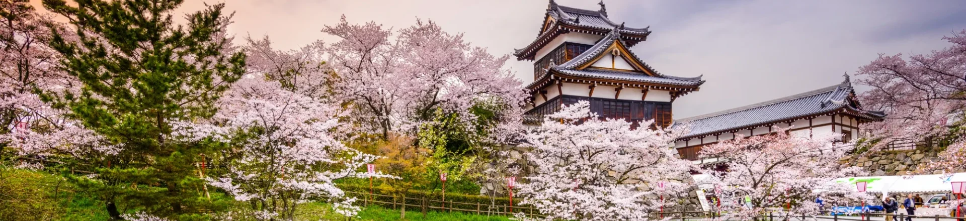 Student success banner